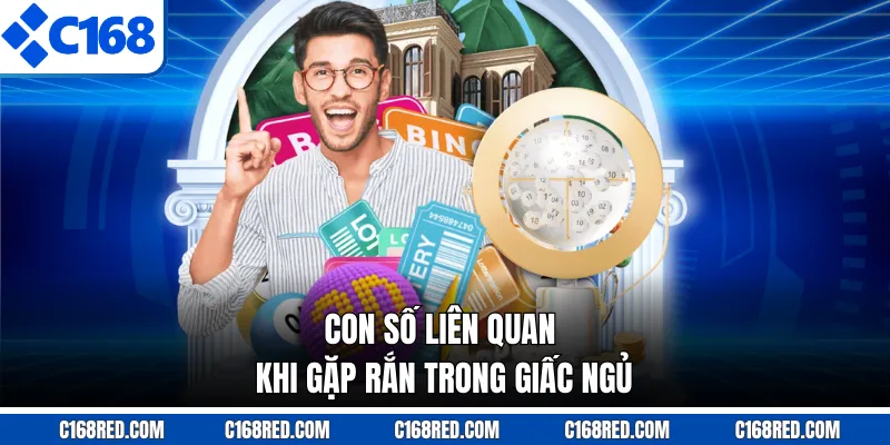 Con số liên quan khi gặp rắn trong giấc ngủ